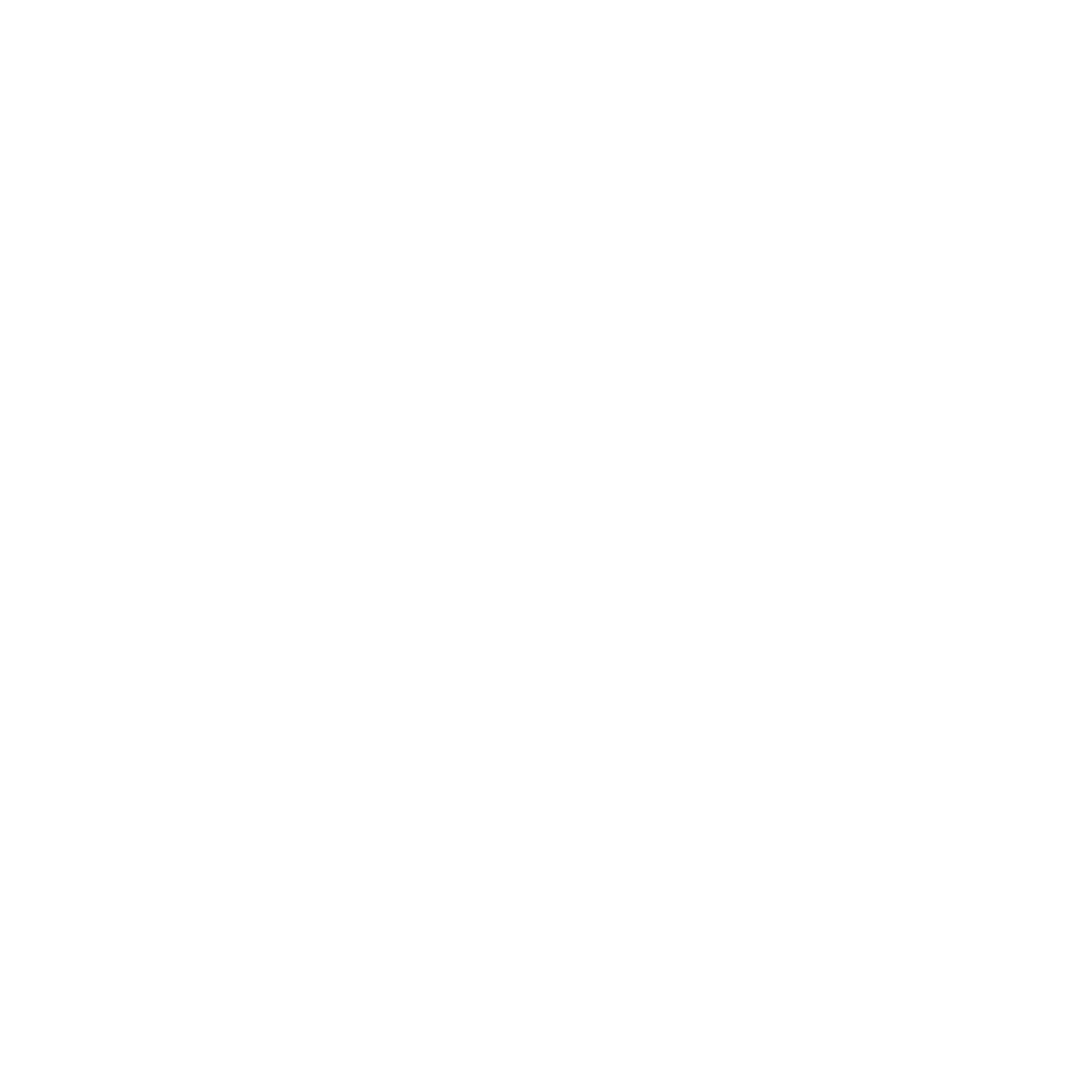Organização das Informações